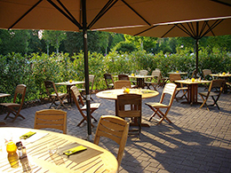 Table de Honau terrasse