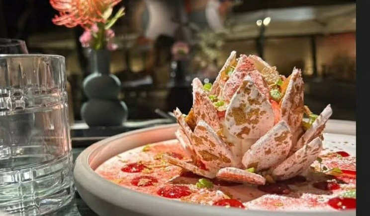 L'intra Nouveauté 26/27