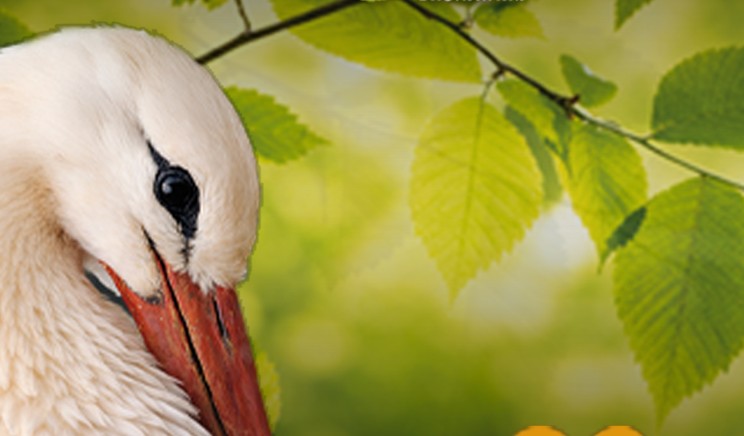 NaturOparc *NOUVEAU PARTENAIRE EDITION 2026/27*