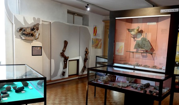 Musée d'Histoire Naturelle et Ethnographie