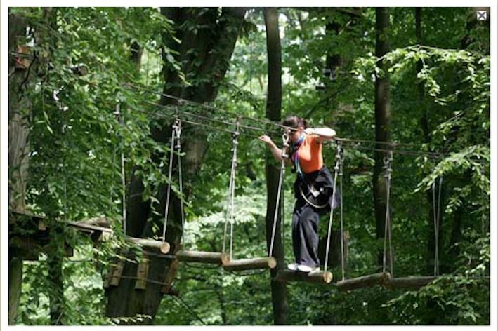 Natura Parc 35 Rue De La Nachtweid 67540 Ostwald