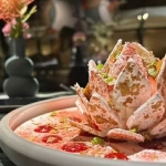 L'intra Nouveauté 26/27